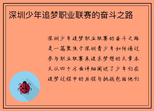 深圳少年追梦职业联赛的奋斗之路